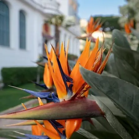 Thekeystudio, Casa Ilenia Al Belvedere Hanbury * 보르디게라