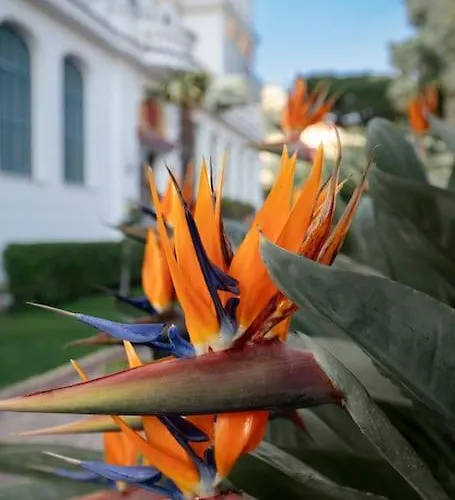 Thekeystudio, Casa Ilenia Al Belvedere Hanbury * بورديغيرا
